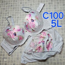 300円スタート　●19-8　新品　C100　5L　ブラジャー＆ショーツセット　ラグジュアリー　花柄プリント　女装さんにも♪_画像1