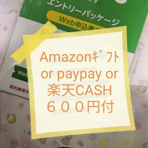 即対応 オマケ付　６００円付（pay/アマ/楽天）マイぴたキャンペーン対応 mineoマイネオエントリーパッケージ　コード　紹介URL 招待 505