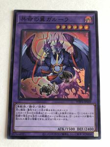 遊戯王　闇　共命の翼ガルーラ　スーパー