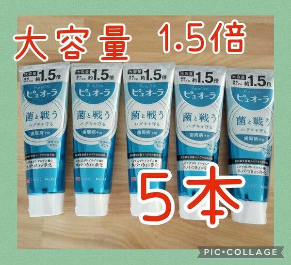 花王 ピュオーラ ハミガキ クリーンミント 大容量 170g×５個