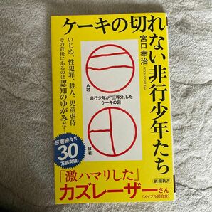 ケーキの切れない非行少年たち （新潮新書　８２０） 宮口幸治／著