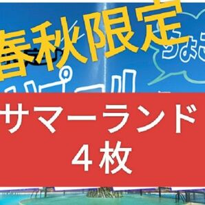 東京サマーランド サマーランド 株主ご招待券 フリーパス