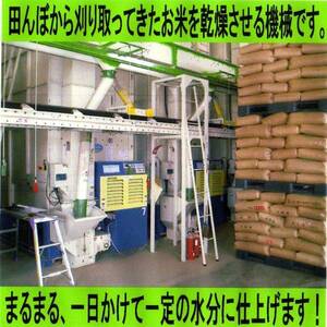 . мир 5 год производство Aichi производство Milky Queen белый рис 30kg из белый рис 24kg. модификация [ бесплатная доставка * один и т.п. качество ]