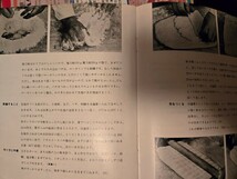 続・家庭で焼くパン 婦人之友ハンドブック 婦人之友社 1974 小冊子 料理 【管理番号Ycp本60-1-405】_画像3