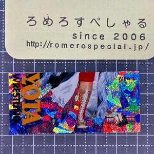 同梱OK∞■◇1998年BBMマグネットパズルカードMP6-C豊田真奈美/Manami Toyota/全日本女子プロレス【プロレスカード】