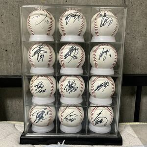  Hokkaido Nippon-Ham Fighters not for sale autograph autograph ball 12 piece set 