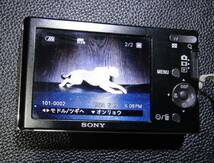 コンパクトデジタルカメラ ２個 ☆ SONY DSC-W190 ☆ SONY DSC-WX170 【中古品】_画像5