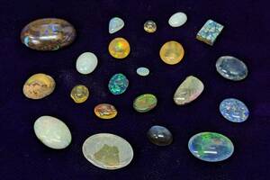* opal opal approximately 8.5g* fire opal black opal wood opal * loose unset jewel . summarize * gem jewelry jewelry*