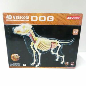  unused solid puzzle 4D VISION animal anatomy dog anatomy skeleton model 