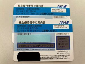 ANA株主優待券2枚(有効期限：2024年5月31日)