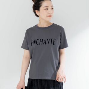 B.C STOCK フロッキープリントTシャツ グレー Tシャツ 半袖Tシャツ