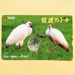 【使用済】 ふみカード 信越版 佐渡のトキ 鳥