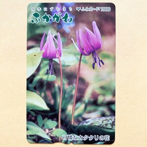 【使用済】 花ふみカード 四季はずむまち 深川 可憐なカタクリの花