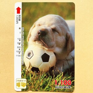 【使用済】 パセオカード 広島電鉄 サッカーボールのおもちゃを枕に眠る子犬
