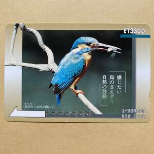 【使用済】 野鳥ETカード 遠州鉄道 遠鉄 カワセミ (静岡県立森林公園にて) 感じたい 鳥のさえずり 自然の鼓動