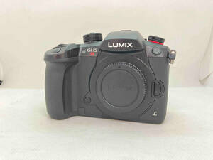 動作確認済 Panasonic DC-GH5S LUMIX ボディ デジタル一眼カメラ