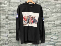 THE north face ザノースフェイス 長袖tシャツ L S trans antarctica tee NT82230 ブラック_画像1