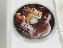 DVD G1 CLIMAX 20th Anniversary XX-3Dスペシャルエディション-_画像6