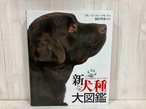 新犬種大図鑑 ブルースフォーグル　犬