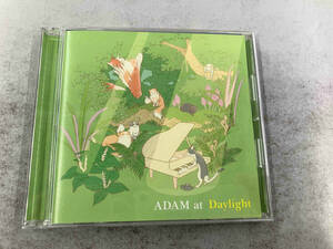 [国内盤CD] ADAM at/Daylight