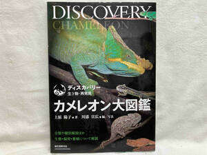  chameleon large illustrated reference book Uehara ..