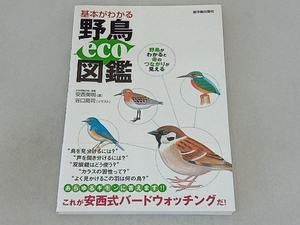 基本がわかる野鳥eco図鑑 安西英明