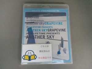 in a lifetime presents another sky(通常版)(Blu-ray Disc)