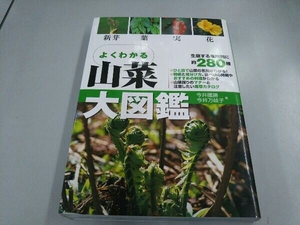  edible wild plants large illustrated reference book now ...