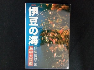 伊豆の海・海中大図鑑 伊藤勝敏