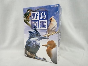 DVD 野鳥図鑑 DVD-BOX