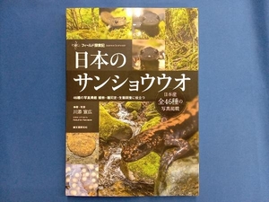 日本のサンショウウオ 川添宣広