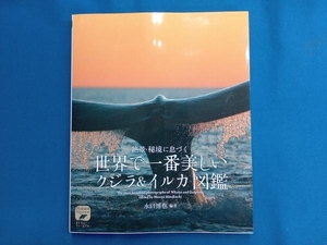 世界で一番美しいクジラ&イルカ図鑑 水口博也