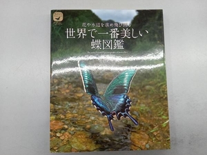 世界で一番美しい蝶図鑑 海野和男