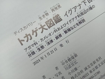 トカゲ大図鑑 イグアナ下目編 中井穂瑞領_画像5