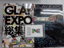 ジャンク GLAY EXPO2014 TOHOKU 20TH ANNIVERSARY_画像3