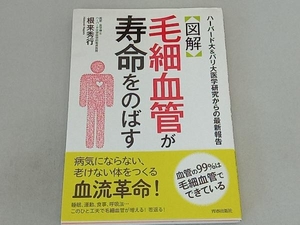 〈図解〉毛細血管が寿命をのばす 根来秀行