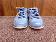 NIKE／ナイキ／DUNK LOW PREMIUM SB／ダンク ロー プレミアム エスビー／313170-462／28.5cm／ローカットスニーカー_画像3