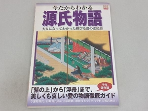 今だからわかる源氏物語 文学・エッセイ・詩集