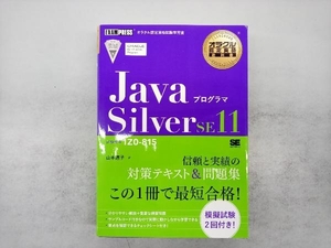  thorough ..Java SE 11 Silver workbook ... person 