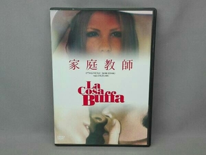 DVD 家庭教師