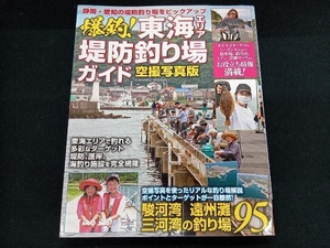 爆釣!東海エリア堤防釣り場ガイド 空撮写真版 コスミック出版　2021