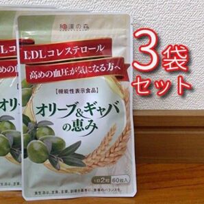 和漢の森 オリーブ＆ギャバの恵み 60粒（30日分）×3袋（約3ヶ月分） 