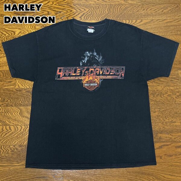 HARLEY DAVIDSON Tシャツ ファイヤー スカル XL