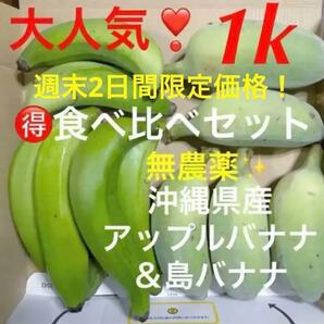 0531①大人気！農薬不使用沖縄県産アップルバナナ＆島バナナ箱別1k分