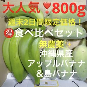 0531③大人気！農薬不使用沖縄県産アップルバナナ＆島バナナ箱別800g分