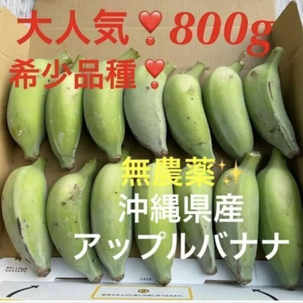 0531②大人気！！希少！！農薬不使用！沖縄県産アップルバナナ800g分