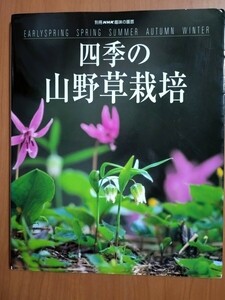 別冊NHK趣味の園芸 四季の山野草栽培 2000年4月発行