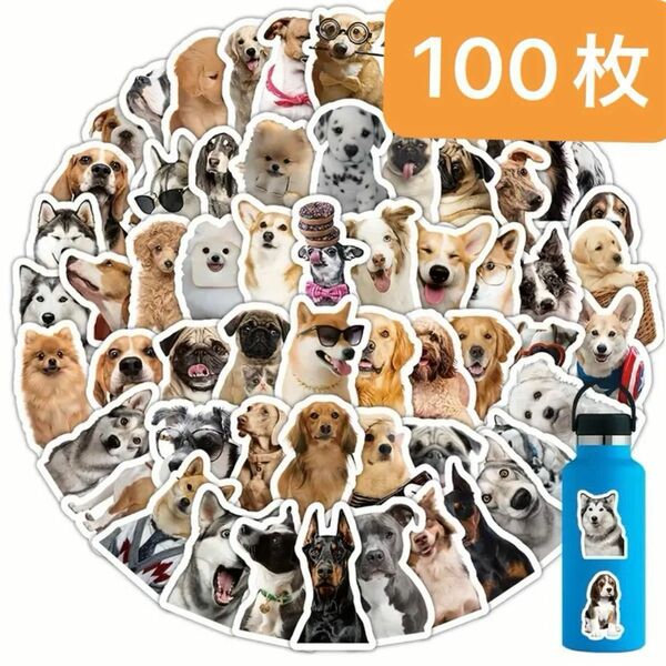 【即購入OK！】防水ステッカー　いろんな面白いわんこのシール　かわいい　犬　ペット　ミーム　たっぷり100枚セット！【匿名配送】