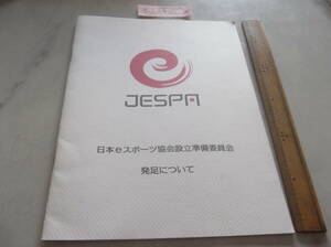 eスポーツ　2007年　中古購読用出品　日本eスポーツ協会設立準備委員会　資料A4サイズ　送料無料