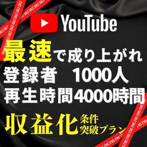 【YouTube収益化セット】登録者1000人&再生時間4000時間を増加させます